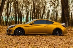 Pure Gold Peelable Car Kit 32 Pure Gold Peelable Car Kit -Dip Your Cars 22712445 1709179579153125 2210476610863014884 o