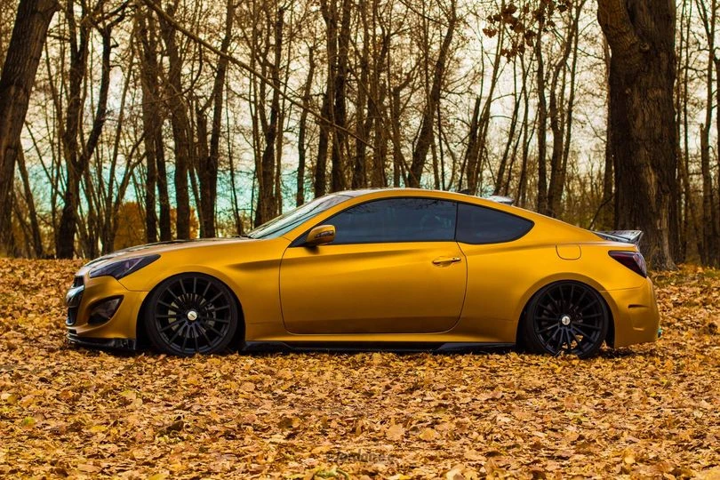 Pure Gold Peelable Car Kit 13 Pure Gold Peelable Car Kit - Image 11