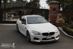 Himalayan White Pearls -Dip Your Cars 28828708 1906952972709117 5858744773180502344 o a8860ed0 aa93 48d3 89fc bbffd68310a5