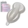 Luna Balloon White Permanent Car Kit 2 Luna Balloon White Permanent Car Kit -Dip Your Cars BalloonWhite a0387e33 114a 4cdd 892f c8c81bfc481b