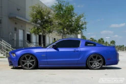 Blurple Pearls -Dip Your Cars DSC 0045 product 1024x1024 f56e8547 57e0 48df a2d8 ab638aa8700c