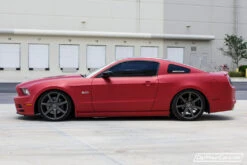 Cinnamon Red PDS 10 Cinnamon Red PDS -Dip Your Cars DSC 2129 product a8c9e249 1629 4df9 8d09 58b90dc3309c