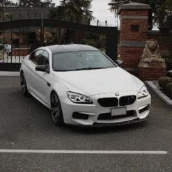 Himalayan White Pearls