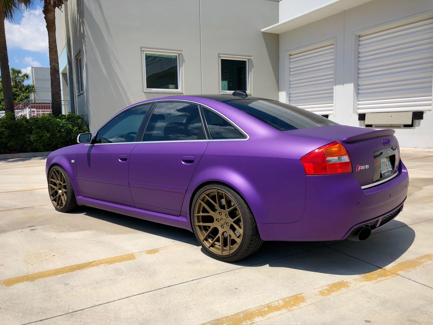 Concord Grape Peelable Car Kit 6 Concord Grape Peelable Car Kit - Image 4