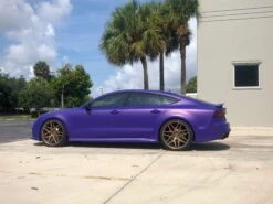 Poison Grape PDS 11 Poison Grape PDS -Dip Your Cars ImagefromiOS 3 9d92501f a78f 41e2 824b 2c8c07463fe4