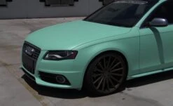Fresh Mint PDS -Dip Your Cars ImagefromiOS 4