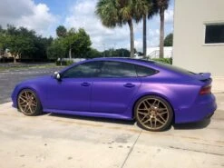 Poison Grape PDS 10 Poison Grape PDS -Dip Your Cars ImagefromiOS 4 51882e48 08a0 4e24 999c 1bec60ae1a49