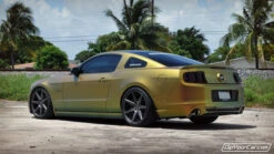 Reptile Flip Pearls 9 Reptile Flip Pearls -Dip Your Cars reptile 3 grande a411dd05 724d 4ffb b5c3 bc2b2e64e52e